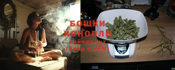 индика Семёнов