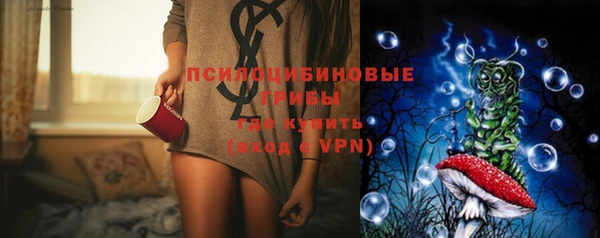 шишки Арсеньев