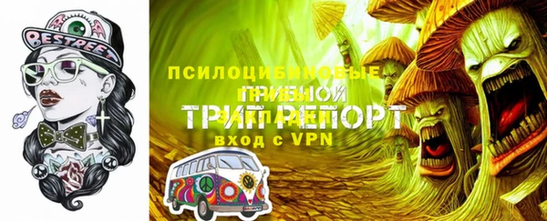 индика Семёнов