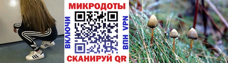 Галлюциногенные грибы ЛСД  купить наркотики сайты  Лабытнанги 